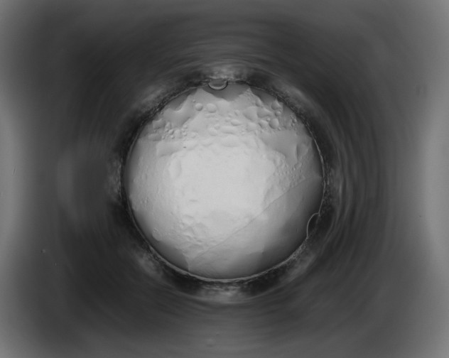 X0000086330554200704131723