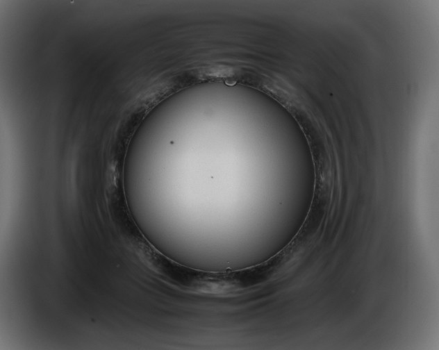 X0000086330555200704131723