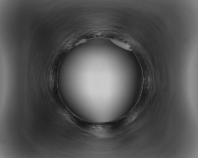 X0000086330558200704131723