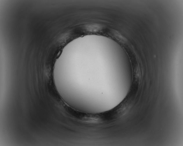 X0000086330559200704131723