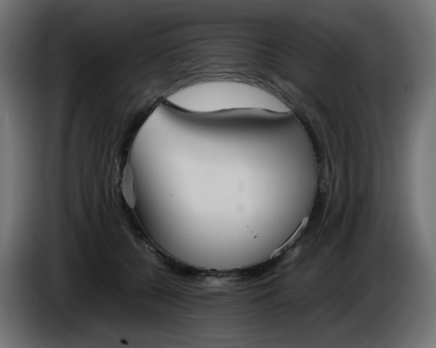 X0000086330560200704131723