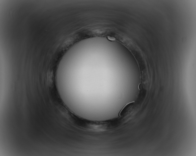 X0000086330563200704131723