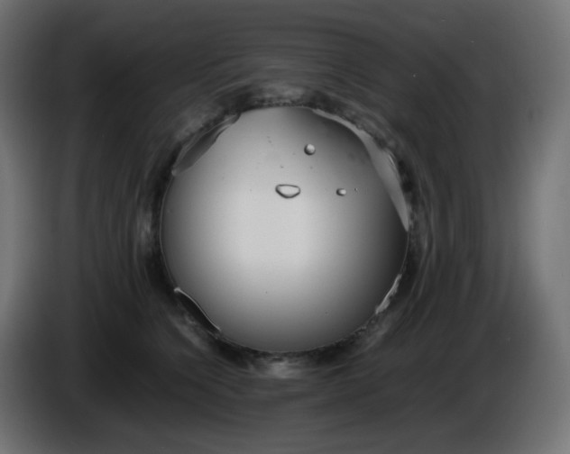 X0000086330564200704131723