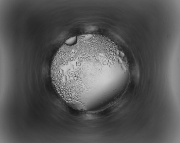 X0000086330565200704131723