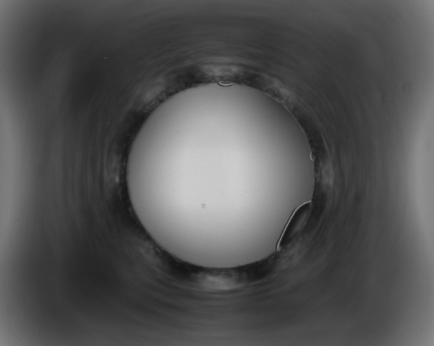 X0000086330567200704131723