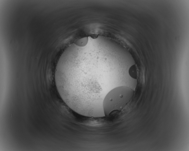 X0000086330569200704131723