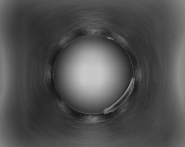 X0000086330570200704131723