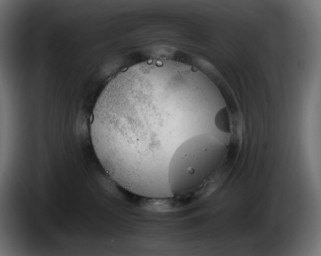 X0000086330573200704131723