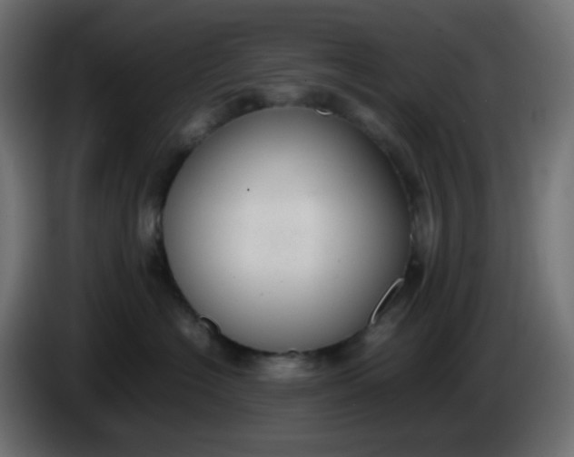 X0000086330574200704131723