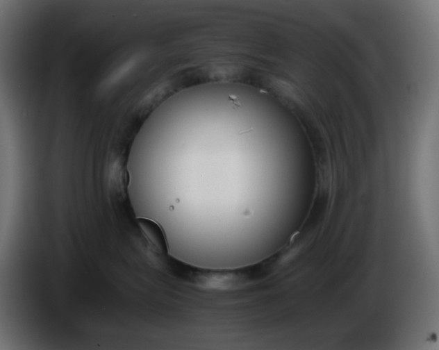 X0000086330575200704131723