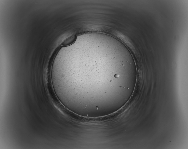 X0000086330578200704131722