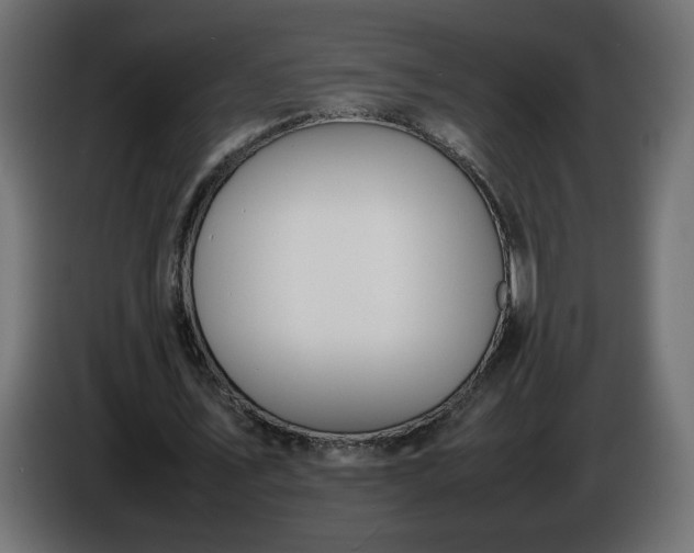 X0000086330579200704131722