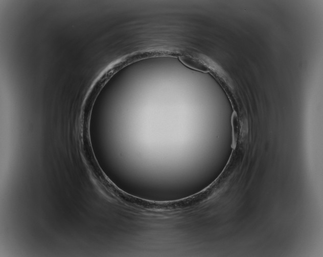 X0000086330580200704131722