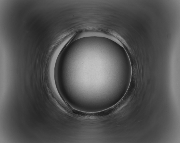 X0000086330581200704131722