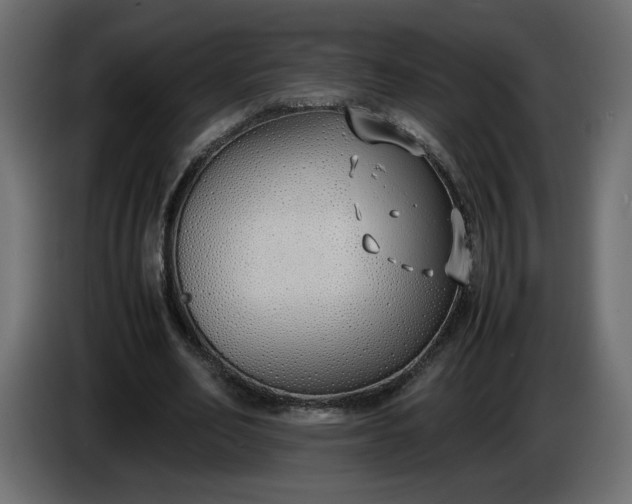 X0000086330582200704131722