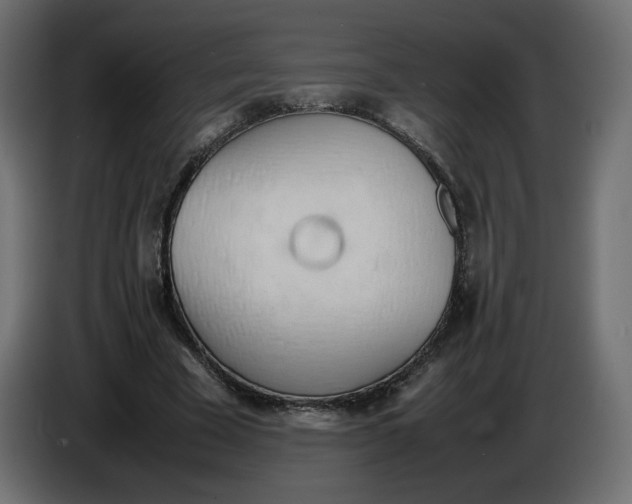 X0000086330585200704131722