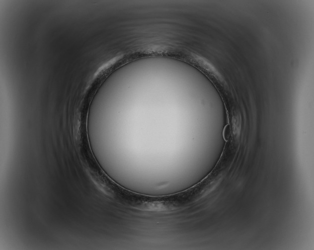 X0000086330588200704131722