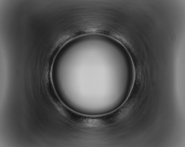 X0000086330590200704131722