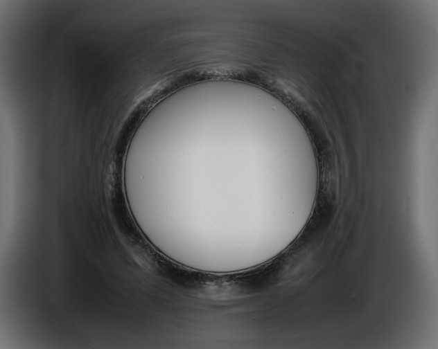 X0000086330591200704131722