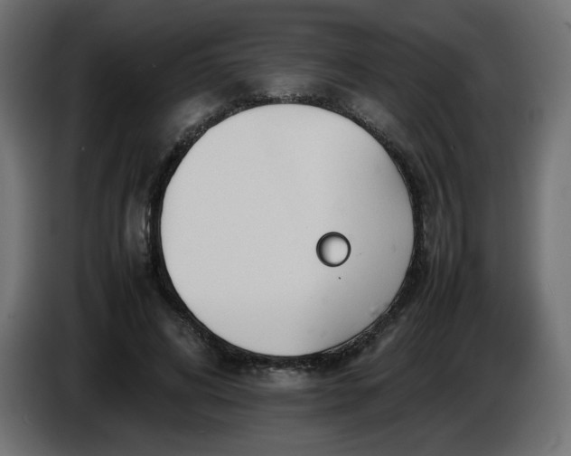 X0000086330592200704131722