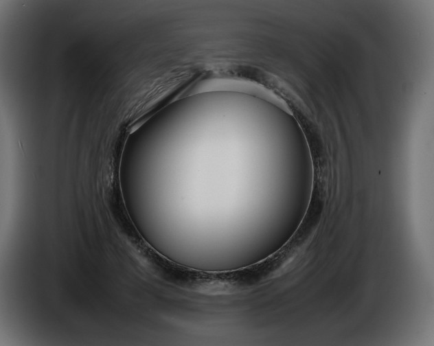 X0000086330593200704131722