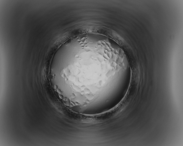 X0000086330594200704131722