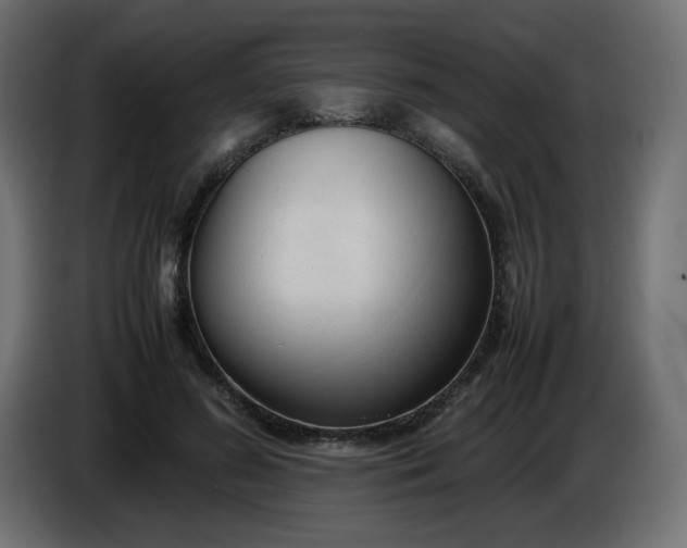 X0000086330596200704131722