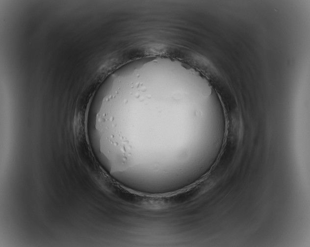 X0000086330598200704131722