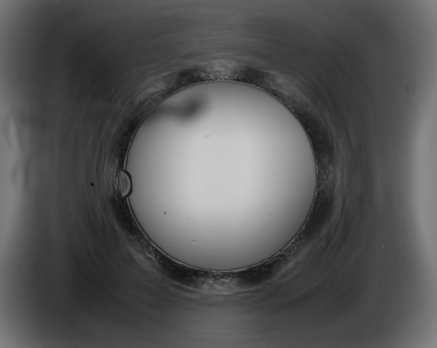 X0000086330599200704131722