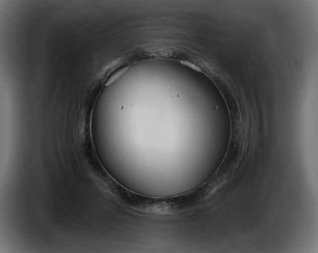 X0000086330600200704131722