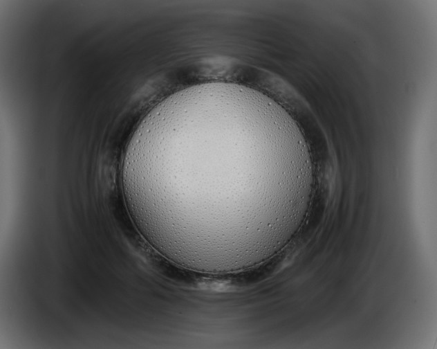 X0000086330602200704131722