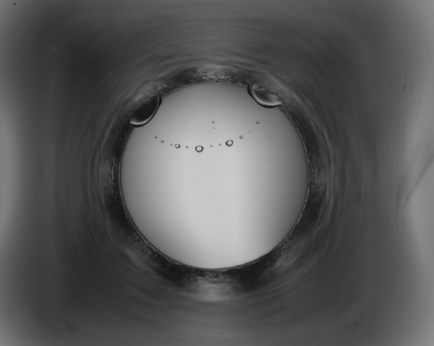 X0000086330603200704131722