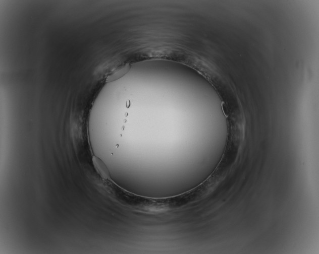 X0000086330604200704131722