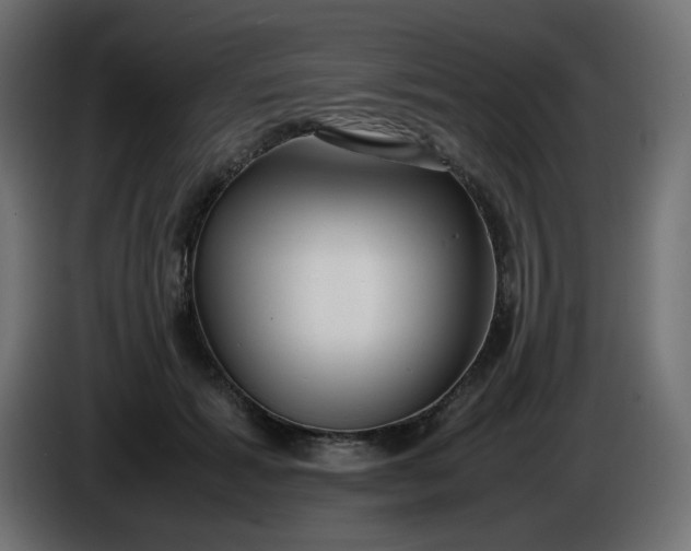 X0000086330605200704131722