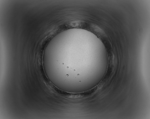 X0000086330606200704131722