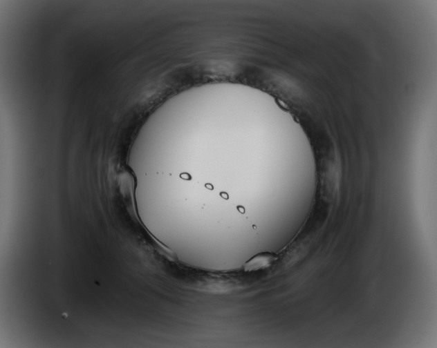 X0000086330608200704131722