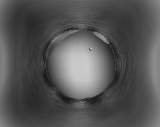 X0000086330609200704131722