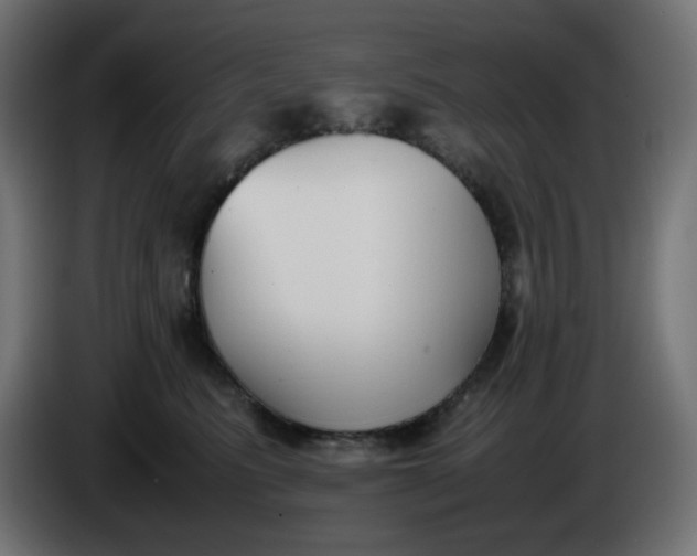 X0000086330615200704131721