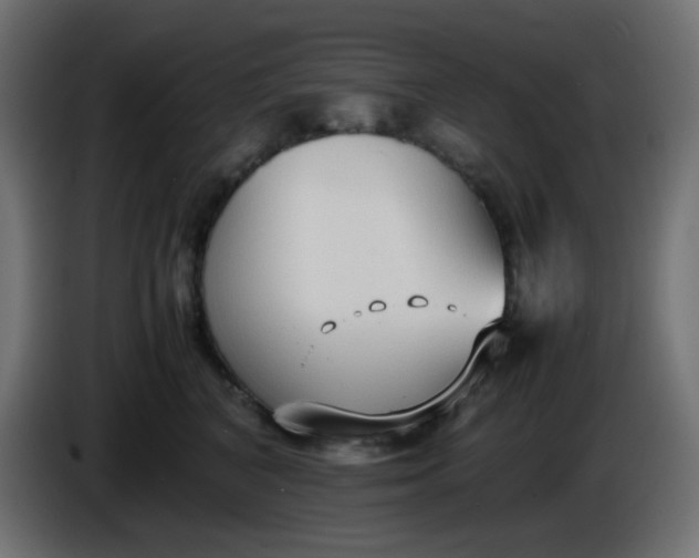 X0000086330616200704131721