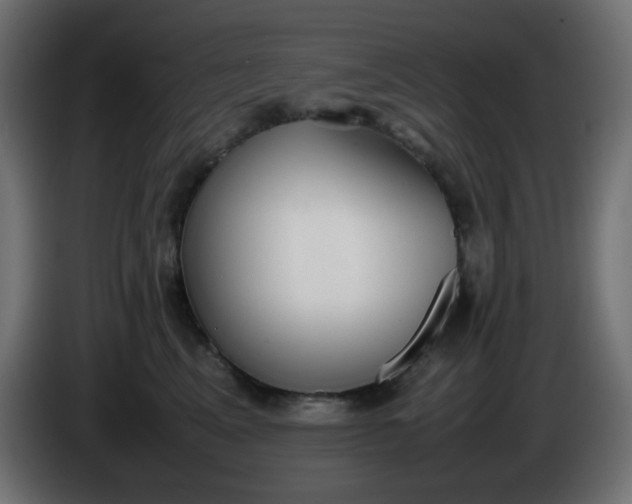 X0000086330617200704131721