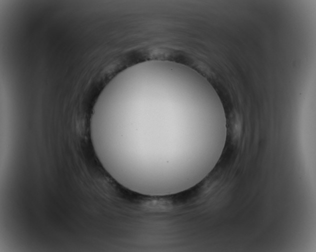 X0000086330619200704131721