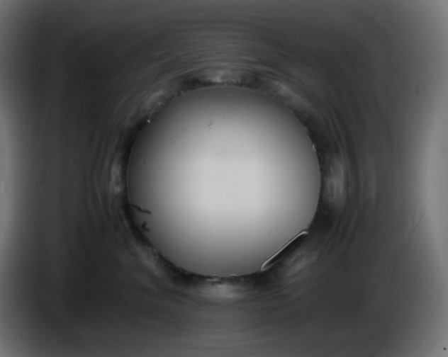 X0000086330620200704131721