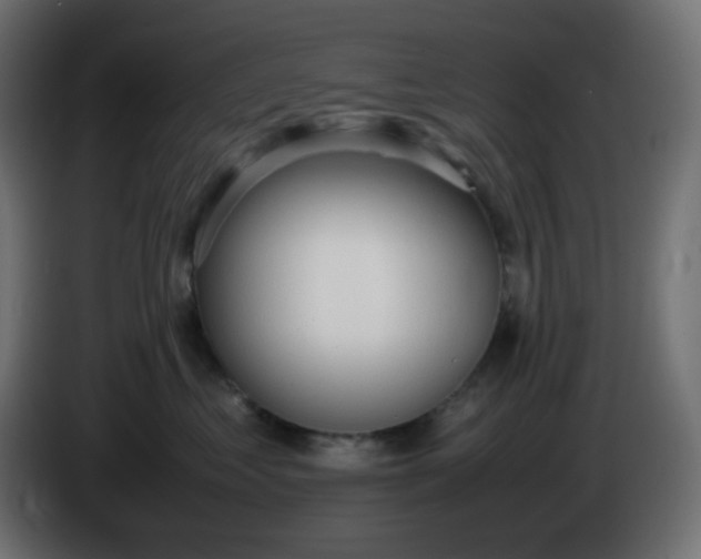 X0000086330621200704131721