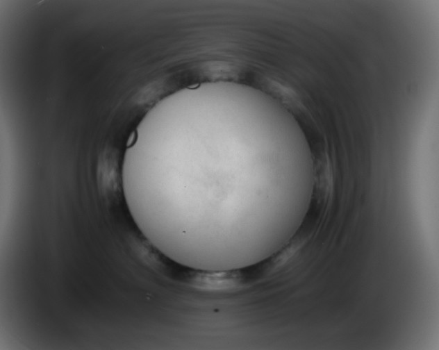 X0000086330622200704131721