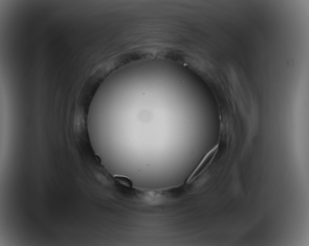 X0000086330623200704131721