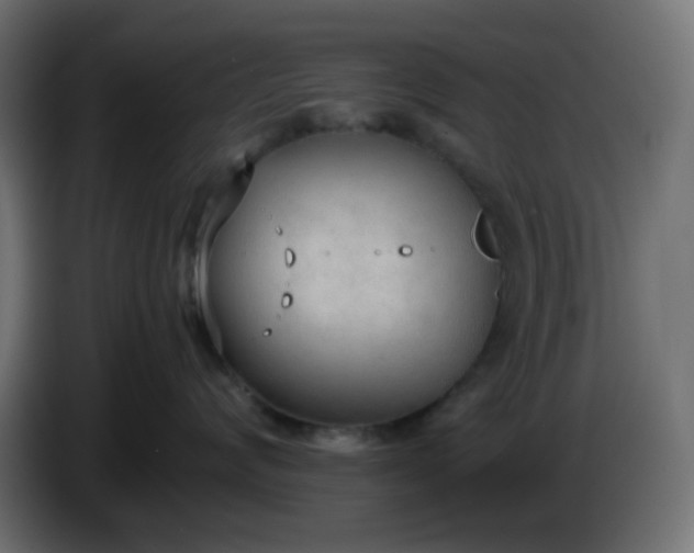 X0000086330624200704131721