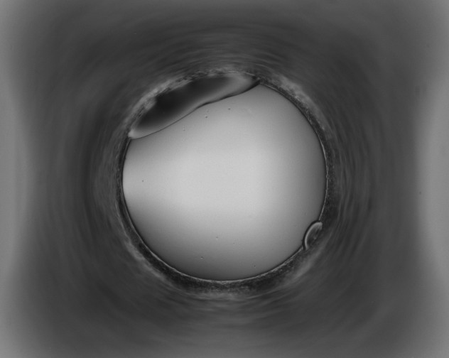 X0000086330625200704131720