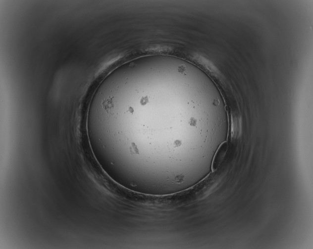 X0000086330627200704131720