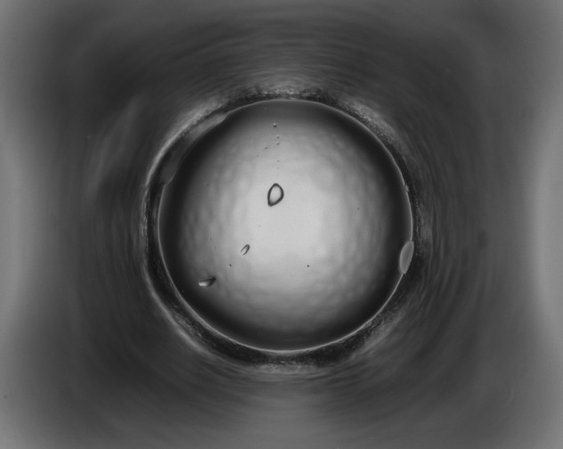 X0000086330630200704131720