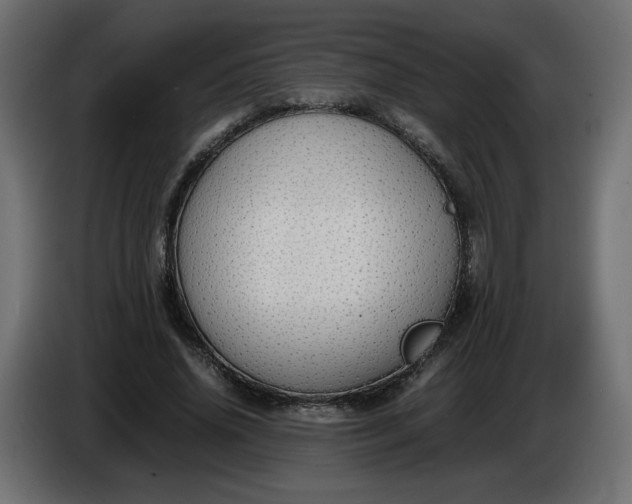 X0000086330636200704131721